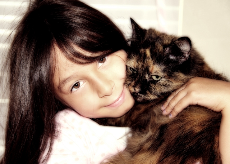 Our four-step process will help you introduce a new cat into your home and ensure they settle in comfortably | 4 Steps to Introducing a New Cat Into the House
