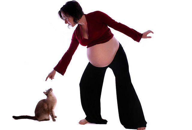Toxoplasmosis is of particular risk to pregnant women - so when you're pregnant, get someone else to change the litter trays | Zoonotic Diseases: Can I Catch What My Cat’s Got?